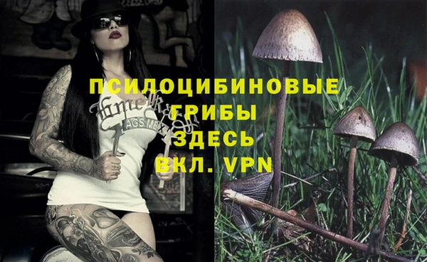 мет Бугульма