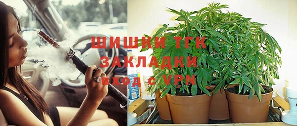 трава Верхнеуральск