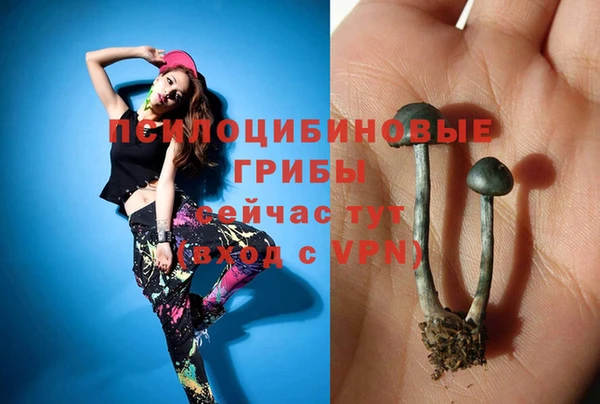 ешки Новокубанск