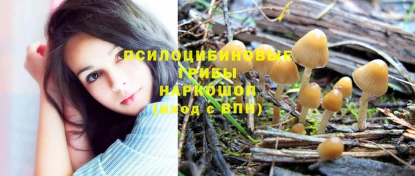 таблы Верея