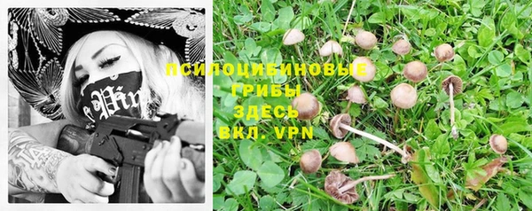 трава Верхнеуральск