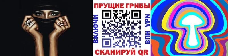 Псилоцибиновые грибы Cubensis Камызяк